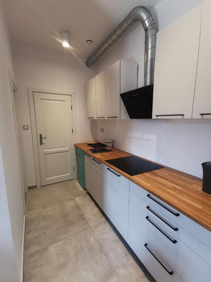 קרקוב Nowe Apartamenty Zamkowa Vis A Vis Wawelu מראה חיצוני תמונה